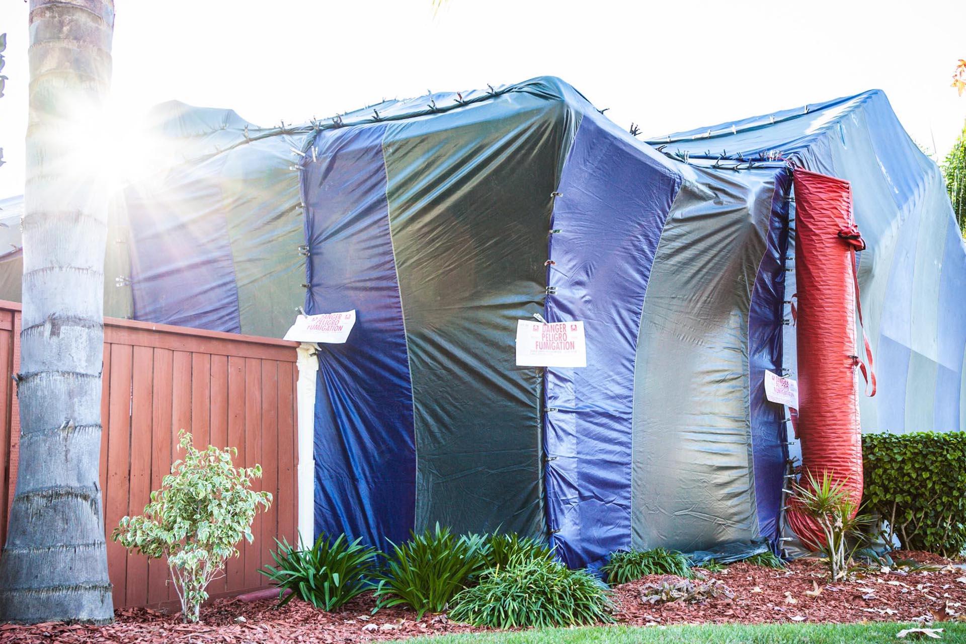 Termite tent in use